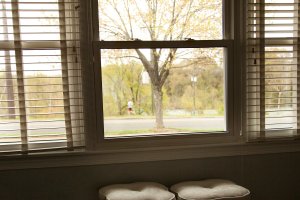 View More: http://oliviagphotography.pass.us/es-blog_images