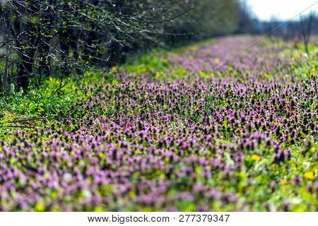 311623BC-6E1A-4352-AE5D-A9C7B7E57227