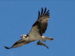 DC57B46B-8E19-4844-8960-4BAAC8A5529B