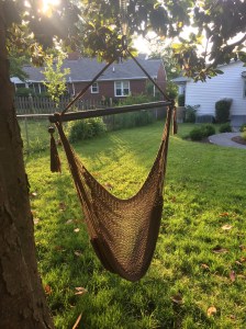 98298135-A241-4E79-8AD3-06C8C51E00A8