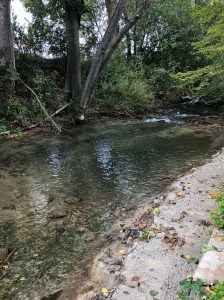 080F32B7-3E0F-43DA-873E-99FC3AD1C8B6