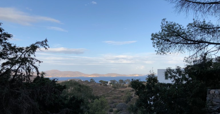 2AF5D288-F110-40B3-A562-BFAF34C16A8A