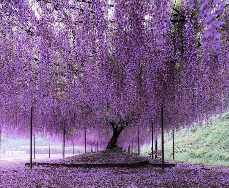 44A3BF7B-8641-4E30-95F0-8B39EB481C0E