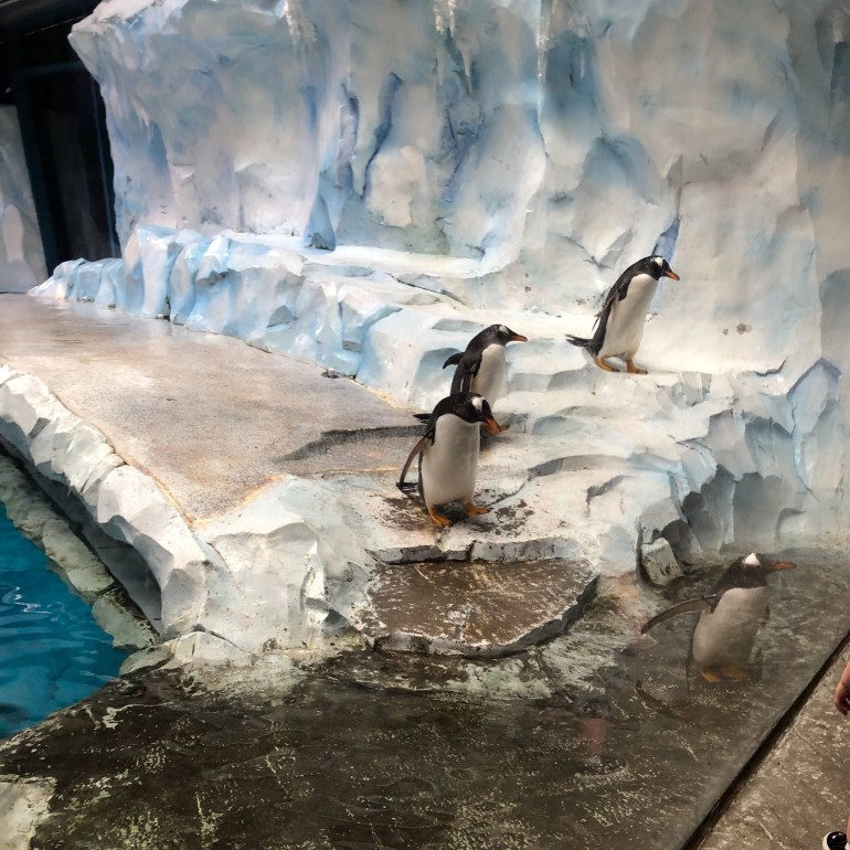 6DA5AC97-8CDC-4396-9E44-1204DE8BF4E7