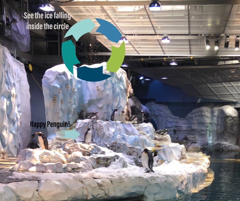 9C76DD51-49D1-4CDD-ACBC-9B2E0A42755A