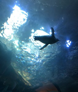 CE618D1B-CB4B-42D1-A437-8957454DAF65