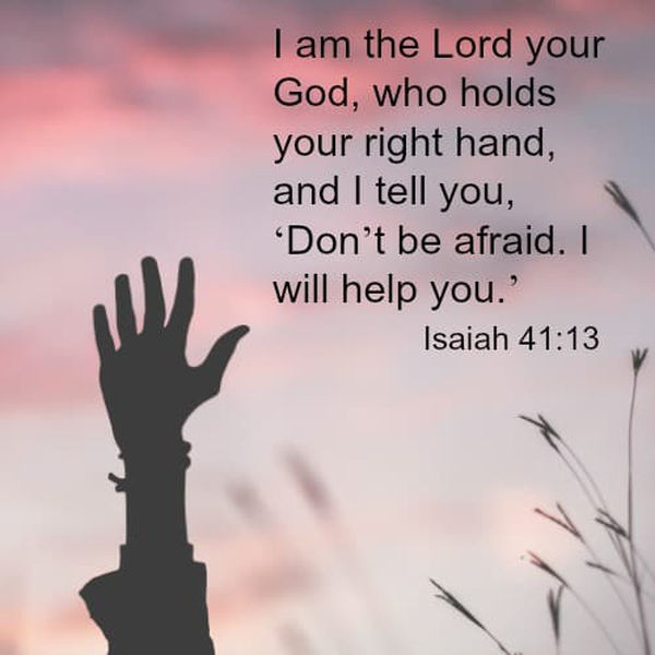 55D8D0DC-0398-46B4-8D9A-7BAE32E1AE7D