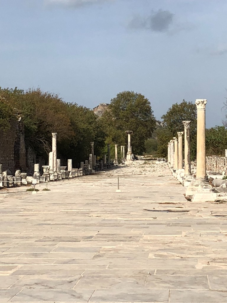 DC0B4C43-9F10-454E-B0D9-B18E72DD1A25