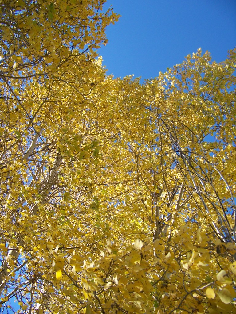 9C188271-6BF6-4C91-936C-BA8162A61C08